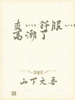 爽灬舒服灬快灬高潮了