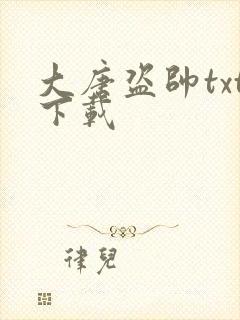 大唐盗帅txt下载