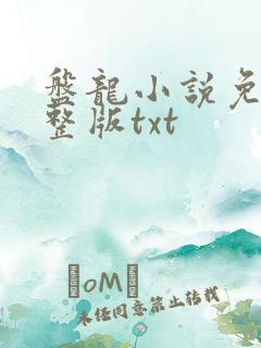 盘龙小说免费完整版txt
