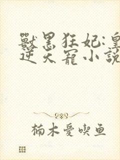 兽黑狂妃:皇叔逆天宠小说看