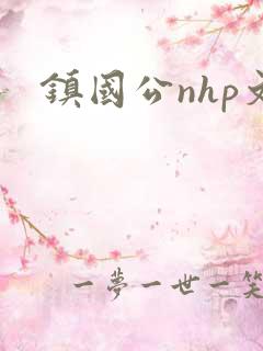 镇国公nhp文