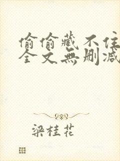 偷偷藏不住小说全文无删减免费阅读