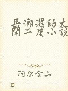 岳潮湿的大肥梅开二度小说