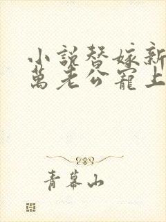 小说替嫁新娘亿万老公宠上天