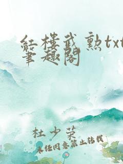 红楼武勋txt笔趣阁