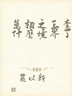 万相之王李洛到什么境界了