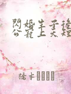 闪婚生子后被老公宠上天短剧热播