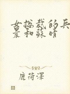 女总裁的兵王萧晨和苏晴