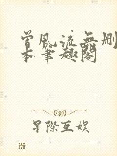 曾风流无删减全本笔趣阁