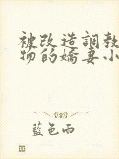被改造调教成玩物的娇妻小说