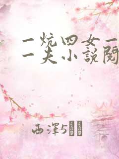 一炕四女一共侍一夫小说阅读