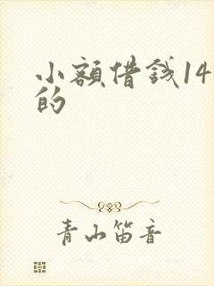 小额借钱14天的