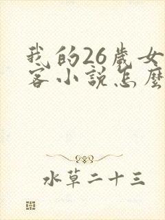 我的26岁女房客小说怎么样