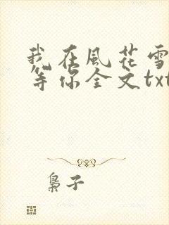 我在风花雪月里等你全文txt