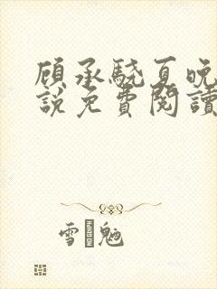 顾承骁夏晚宁小说免费阅读最新章节