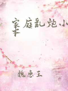 家庭乱炮小说全本