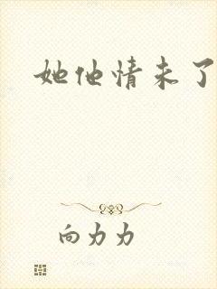 她他情未了