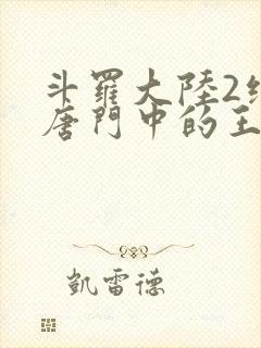 斗罗大陆2绝世唐门中的王冬
