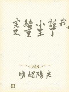 完结小说我夫君又重生了