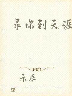 寻你到天涯