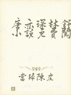 唐亦琛林舒温晴小说免费阅读