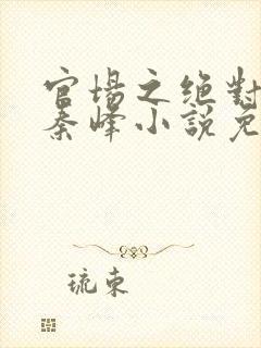 官场之绝对权力秦峰小说免费阅读