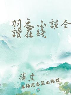 羽衣小说全文阅读在线