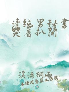 清纯男秘书被c哭着扒开