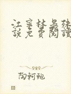 江宁林晏殊的小说免费阅读