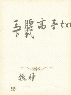 王牌高手txt下载