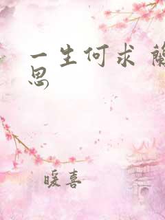 一生何求 兰思思