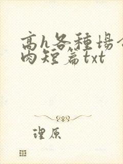 高h各种场合全肉短篇txt