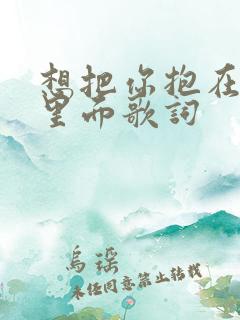 想把你抱在身体里面歌词
