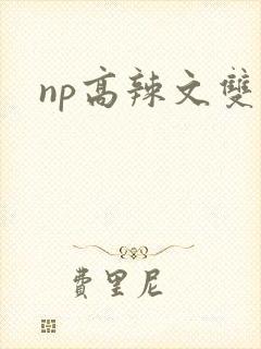 np高辣文双性