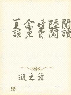 夏念晴陆闻琛小说免费阅读最新章节