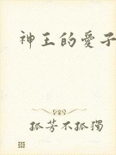 神王的爱子