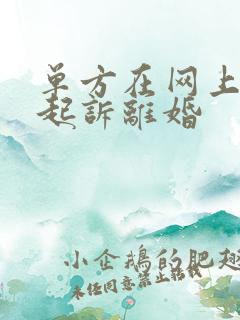 单方在网上怎么起诉离婚