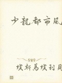 少龙都市风流行