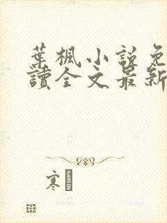 叶枫小说免费阅读全文最新章节