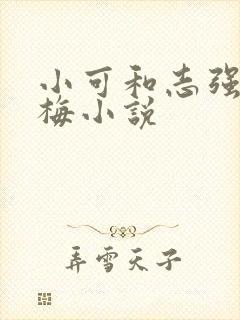小可和志强,阿梅小说