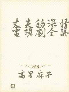 丈夫的深情谎言电视剧全集观看免费