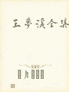 王梦溪全集