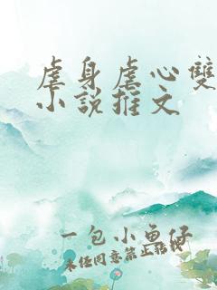 虐身虐心双男主小说推文