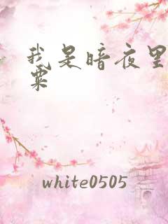 我是暗夜里的罂粟