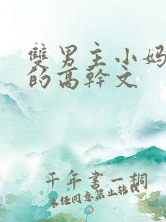 双男主小妈文学的高干文