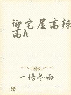 御宅屋高辣浓情高h
