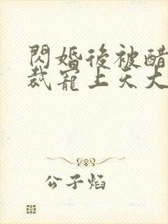 闪婚后被醋王总裁宠上天大结局