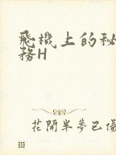 飞机上的秘密服务H