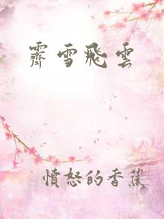 霁雪飞云