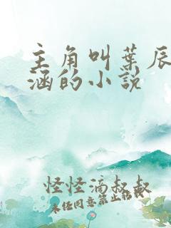 主角叫叶辰苏雨涵的小说